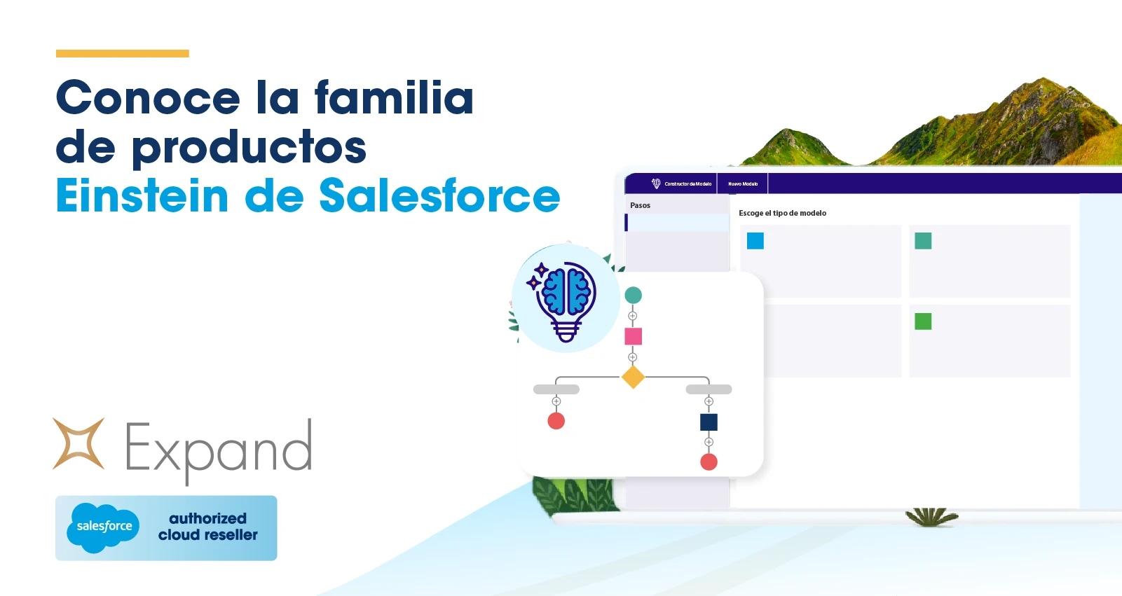 Conoce la familia de productos Einstein de Salesforce