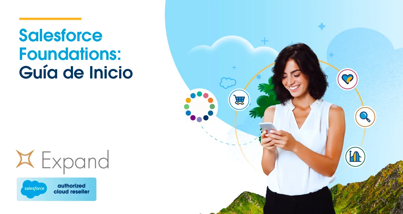 Salesforce Foundations